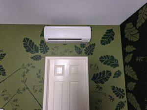 Mini Split Air Conditioner inside unit installed by Accord Air in San Diego and green wallpapers with green leaves on it.