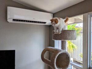 Mini Split Air Conditioner inside unit installed by Accord Air in San Diego and a white cat on the stand.